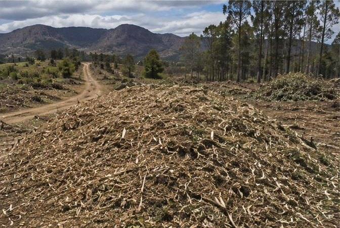 Coarse chip surfacing on a farm track — drains, holds down dust, and is topped up rather than regraded.