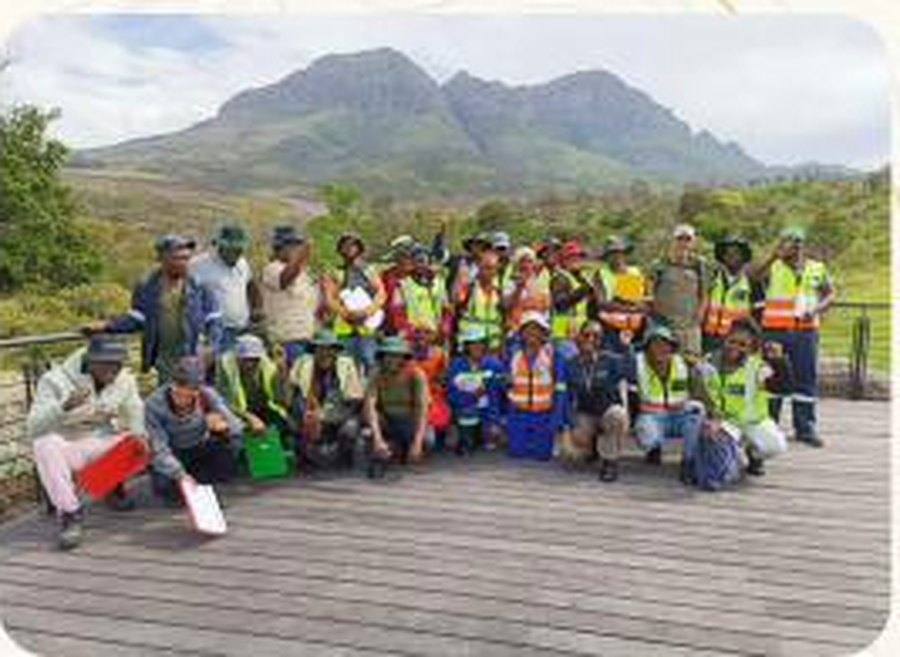 A Contour field crew on a Western Cape restoration site.