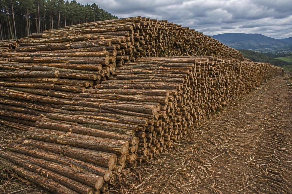 Stacked and sorted