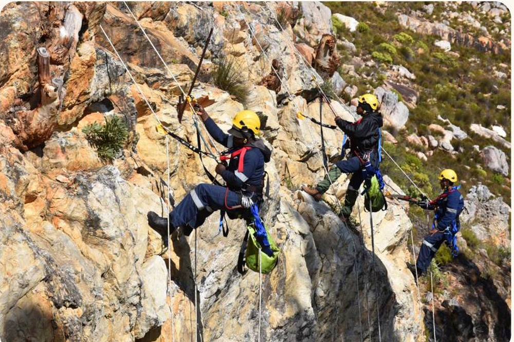 High-angle clearing on a Western Cape mountain face. Material from these sites is extracted to a landing before it is sold.
