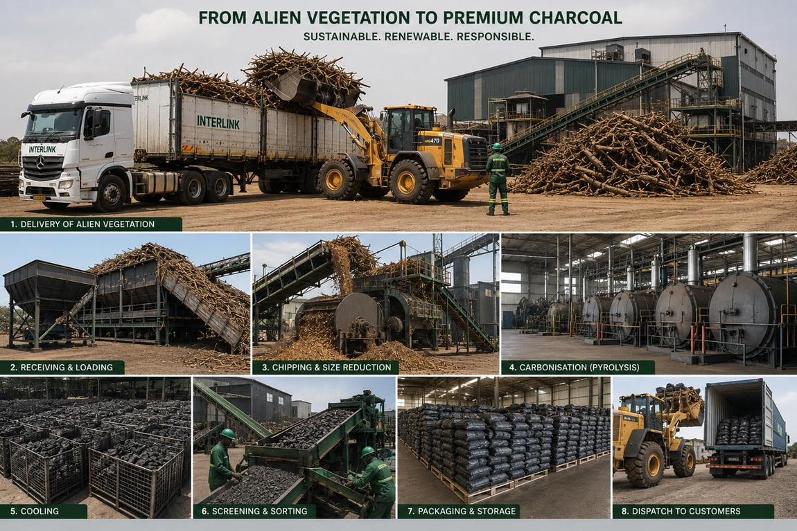 Delivery of alien vegetation, receiving and loading, chipping and size reduction, carbonisation (pyrolysis), cooling, screening and sorting, packaging and storage, then dispatch to customers.