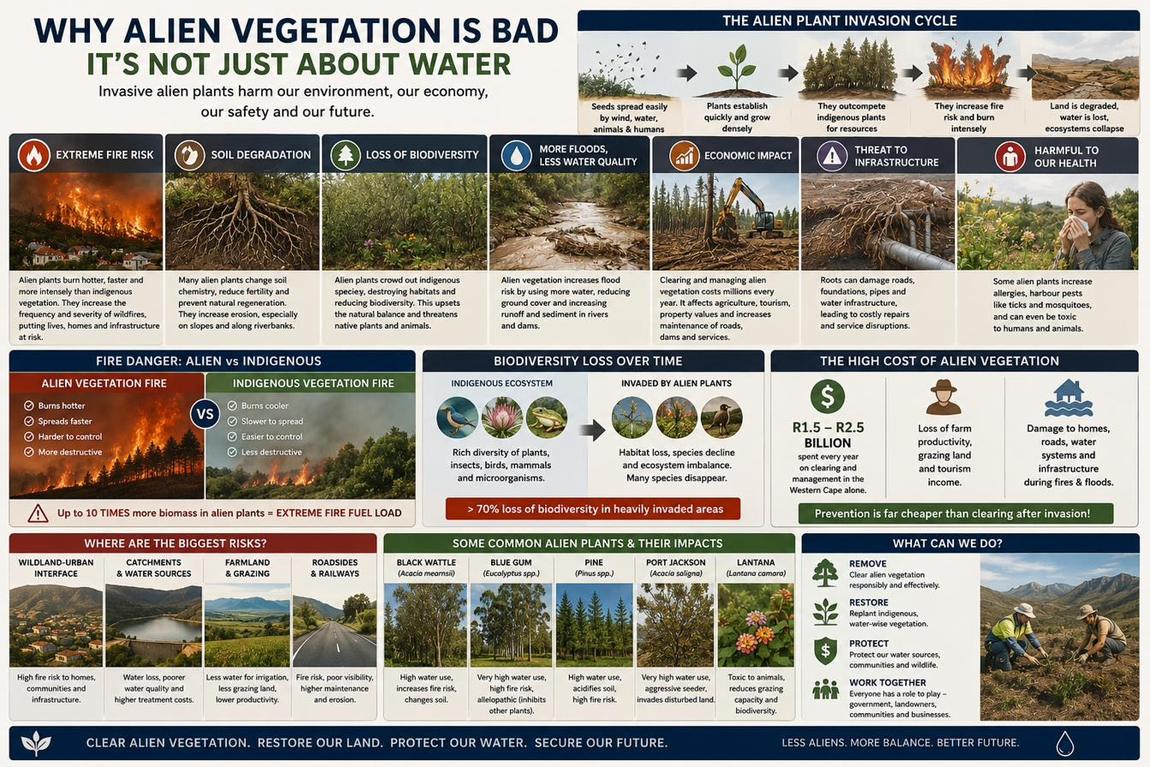 The alien plant invasion cycle, biodiversity loss over time, where alien plants are the biggest risk, common alien plants and their impact, and the economic cost of leaving them standing.